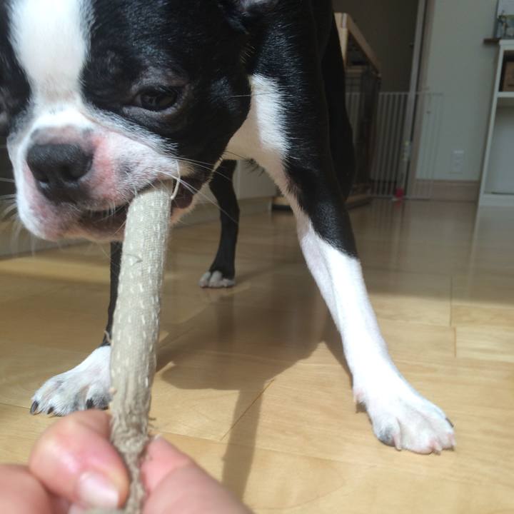 Bc3cea95 3036 469a 9b1c b4f2f361bcff