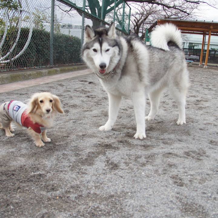 Bc3cf2bf bb45 48c3 a330 5966612a480c