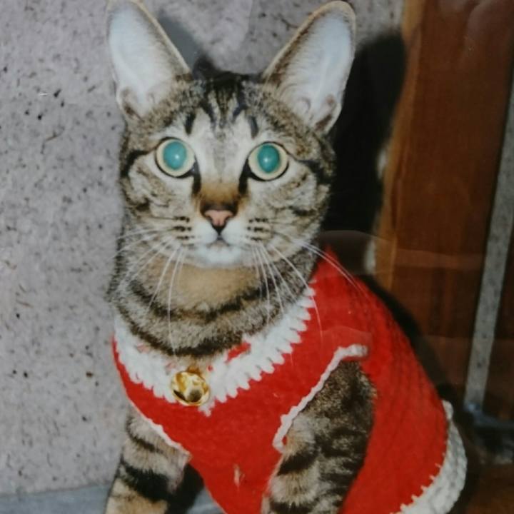 Bc3d06b9 e486 45fa a58e 4a96a55e3aa6