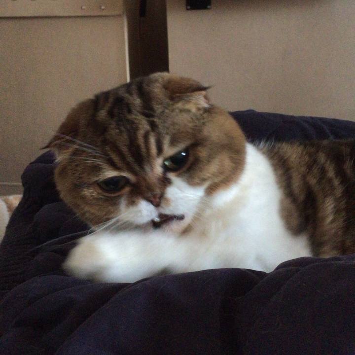 Bc3e2cfa 6519 4c2c b423 fab3f0d6f107