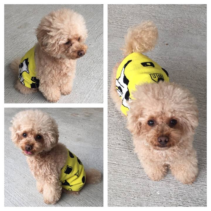 Bc3e52fc d4fd 420a ba6b 1de3a4c2b622