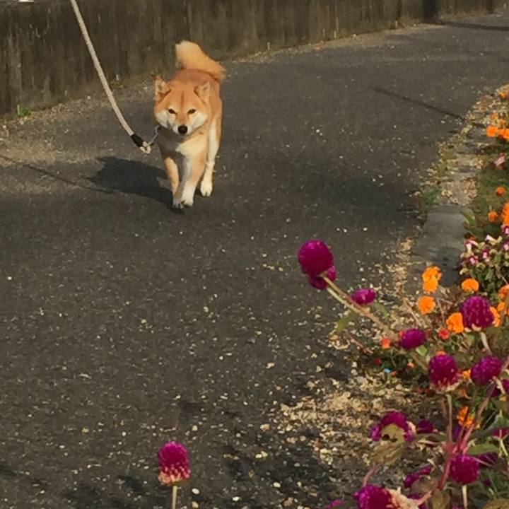 Bc3e8f8c 0c52 4e57 9b53 60a66fbf0695