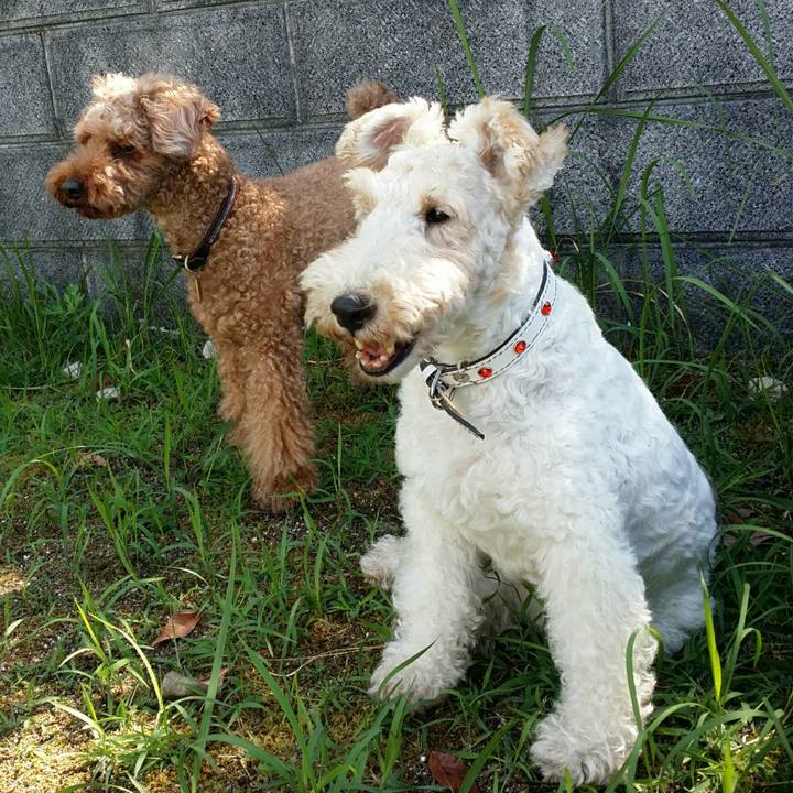 Bc3ead4a d1c3 4e82 92b9 b4ec85893399