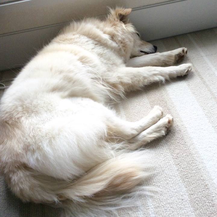 Bc3ecc73 3994 4e6d b224 779a1e09575f