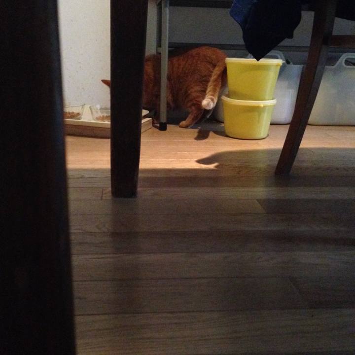 Bc3efe88 4e1f 4476 8555 7f1e4a9e6161