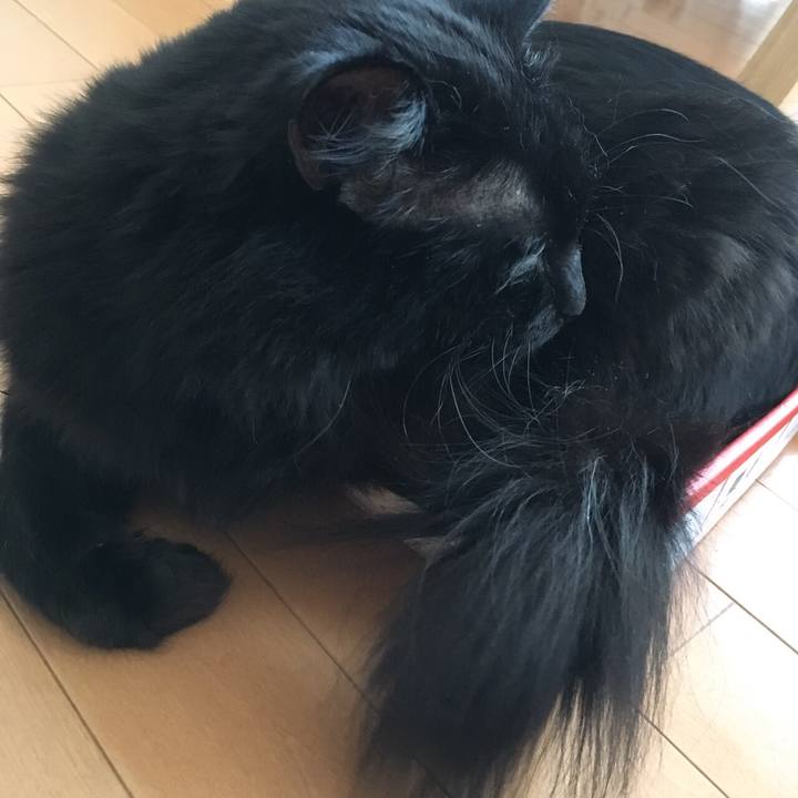 Bc403820 0fbc 4b49 9a9b 067e18741ce6