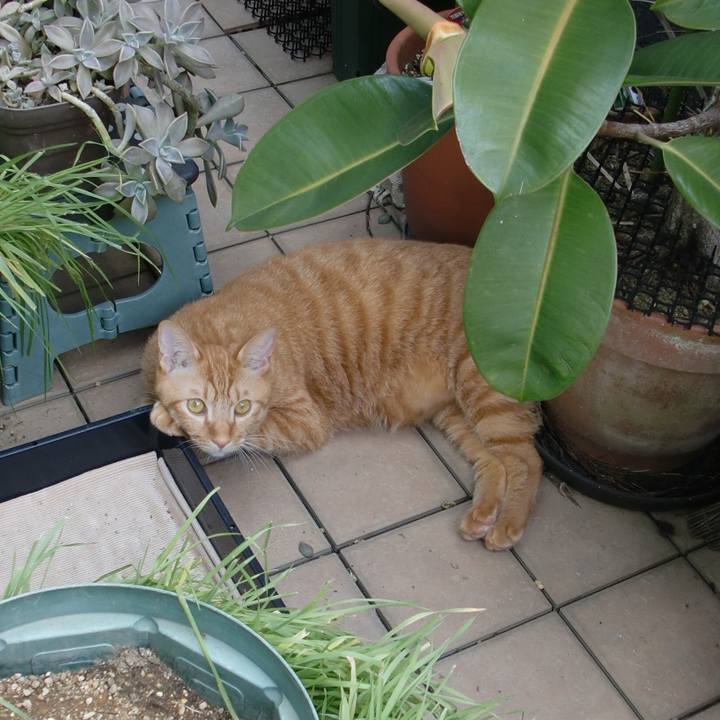 Bc407ad2 c1c0 449c 9c8f c10f2cc5e3df