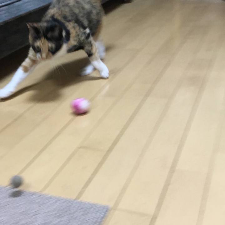 Bc4088cf 33d1 494b b11d 5fe20d6f6a5e