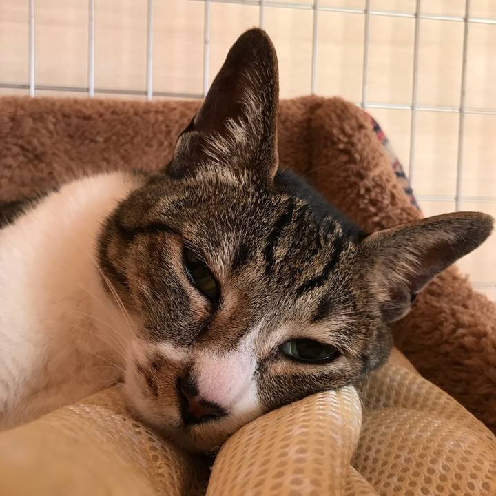 Bc40a291 730b 40e6 bd11 590a88839978