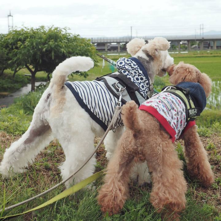 Bc40f90e 8d66 409d afef 89fc1b290c40