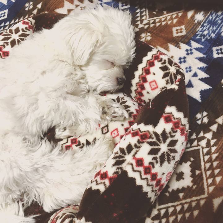 Bc4271c6 9b7b 4831 97d6 ef33a2c684f0