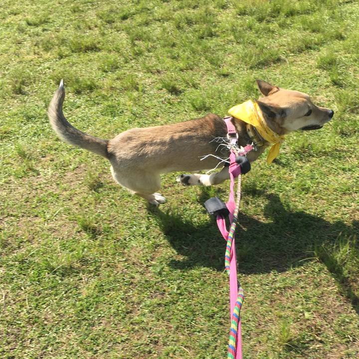 Bc43ac92 aa12 48e6 badd 34456d966621