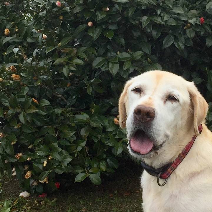 Bc43e1b3 e389 42c3 9a1d 0b7bd0b49871