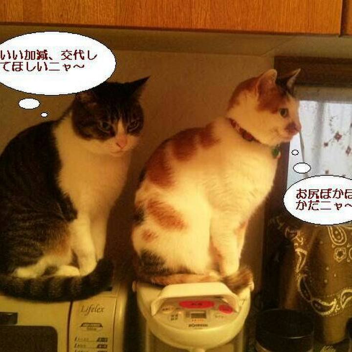 Bc44bc5e 05c3 4343 a03a 8171650d16bb