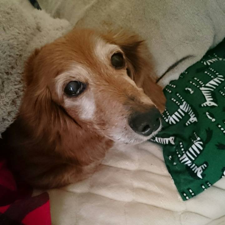 Bc453c21 f8c2 4071 aedb b24f3028e35c