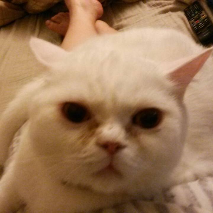 Bc4548d2 4cb7 4e42 b63c 836bbafe05f0