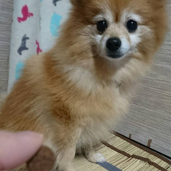 Bc459702 aeaf 4f87 83ce 4425c4063780