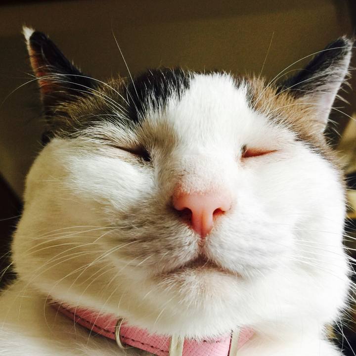 Bc467c44 cb5c 4da6 80b6 7667927db002