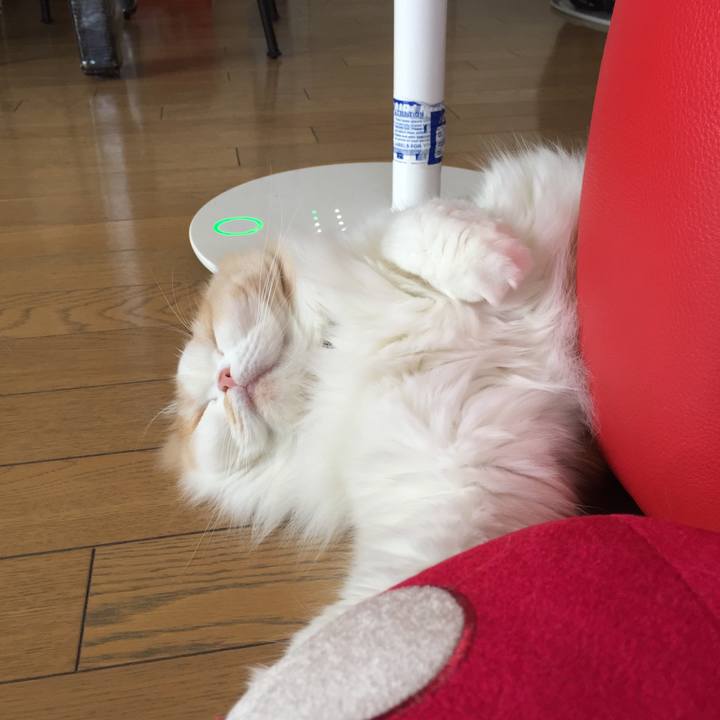 Bc468403 f789 4c3f 8207 e5188bc28649