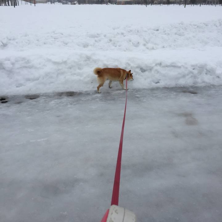 Bc4687c7 ecfd 4949 aff6 7af94dda3e50