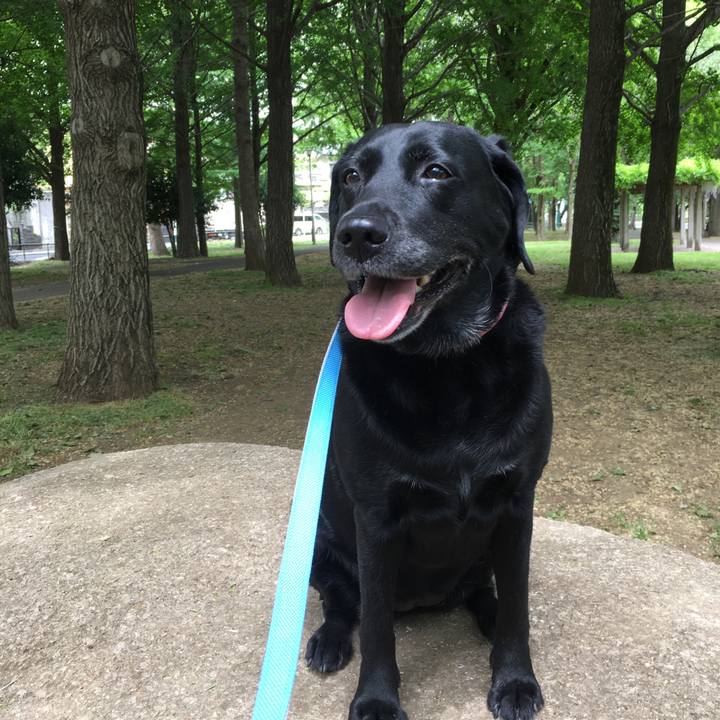 Bc46c3ba cb26 40fc 916d 5d9dcffaf378