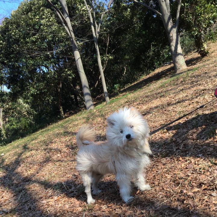 Bc4704ed 30e4 45f0 ba59 30663ef8b804