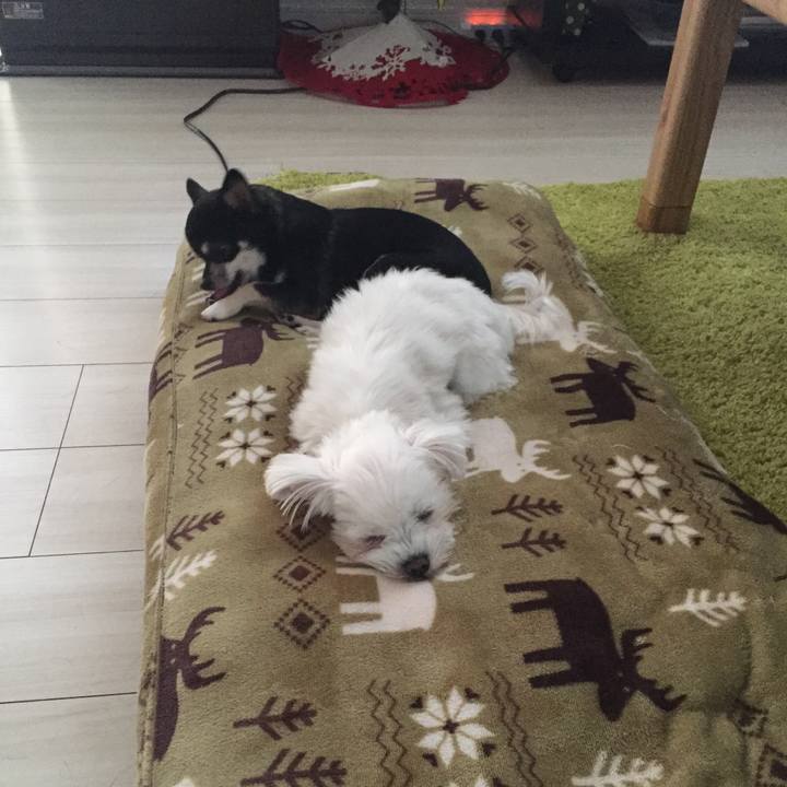 Bc4716e8 47fc 4cb3 a6c5 cae82d63a6a4