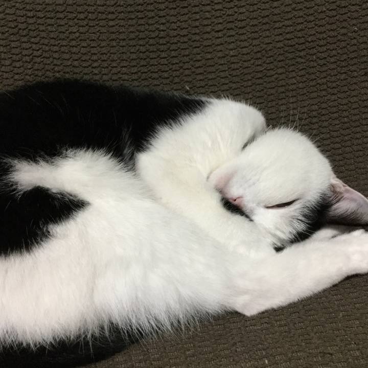 Bc47575c 7278 41a4 b7c6 990c7dcf11c4