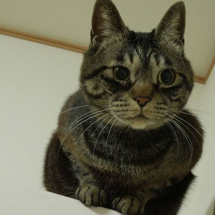 Bc47e06a 75a6 4669 905f 563138c8b1cf