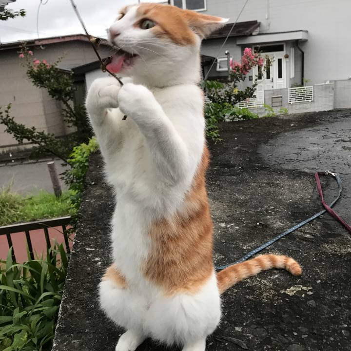 Bc47fe78 5e18 4791 b125 f44b329a9d30