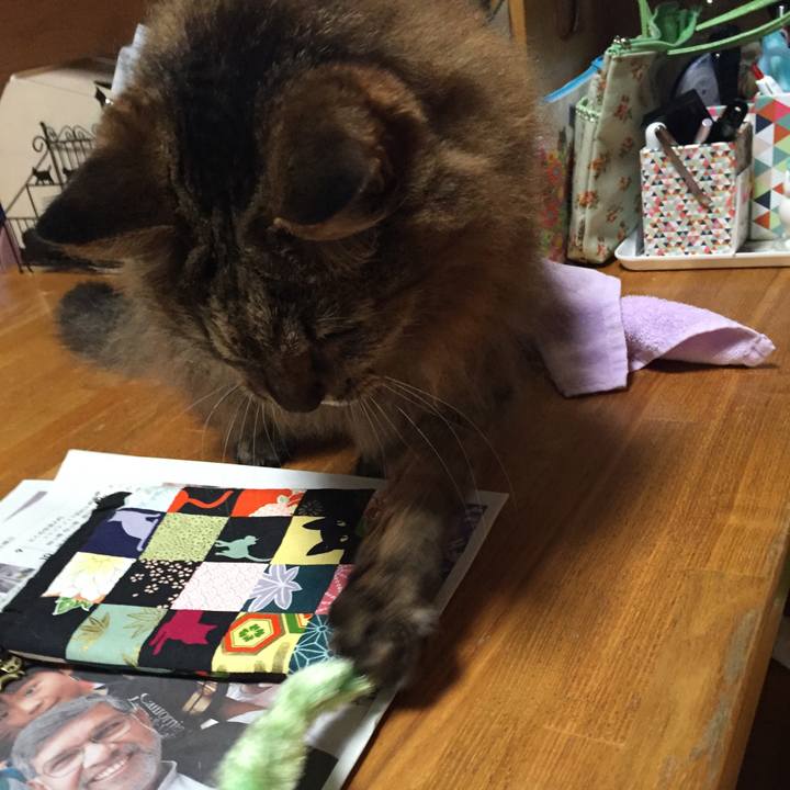 Bc4834b3 5fac 4210 b618 8cd75fa45af0