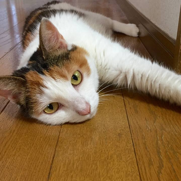 Bc486339 ff40 4246 adda 444c0c9f1bd3