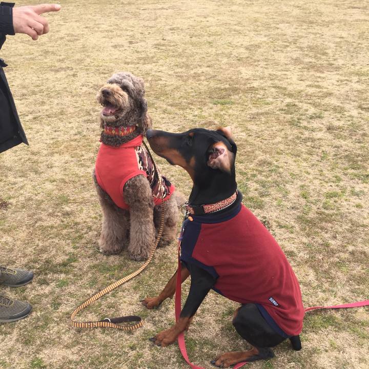 Bc48c84f f743 4046 a965 f231f1638b62