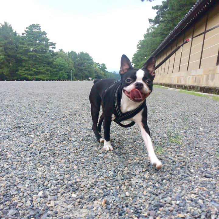 Bc4936f7 f1f4 4e5a 939a 478648438cd0