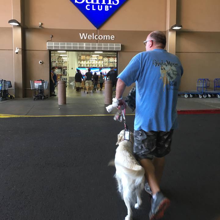 Bc4a66af 666b 436c 8fd2 74abb673ce04