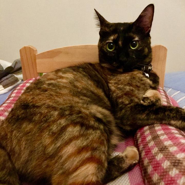 Bc4a8dce db51 42d0 a57d fb54af0244d2