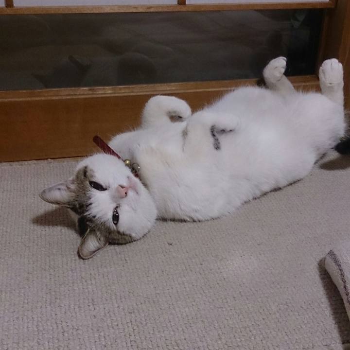 Bc4a94e0 6170 4d07 82fa df851728020b