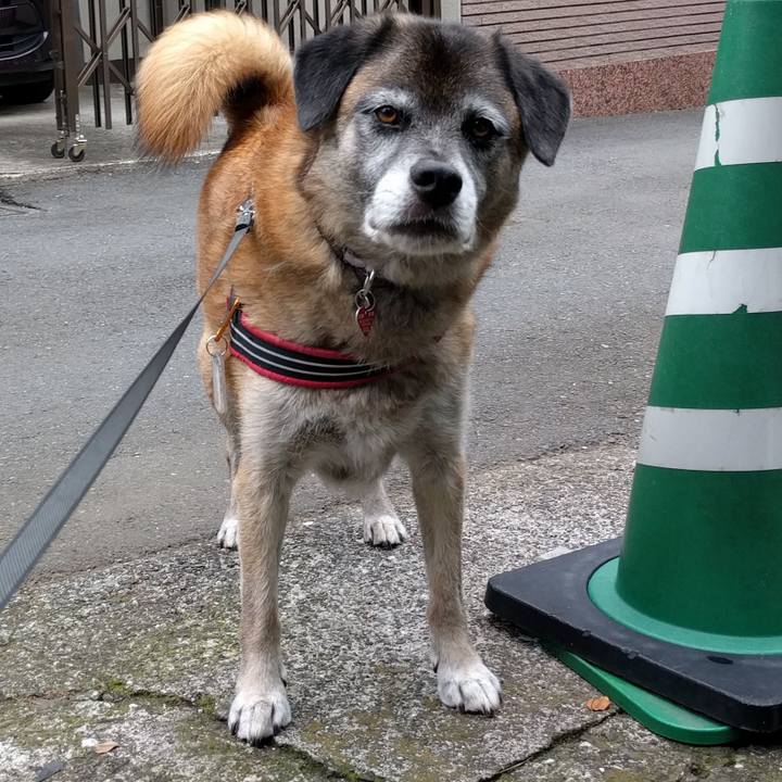 Bc4ad704 acca 4e91 a6c7 efd1e4acc427