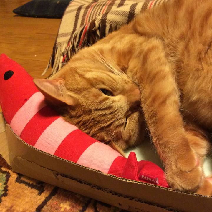 Bc4b9674 353e 4bd6 bb1b 76c4597c0f1f