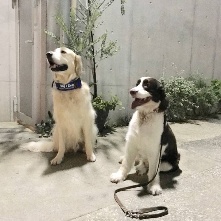 Bc4c8ac7 9757 4c25 b735 eda6d5e257a3