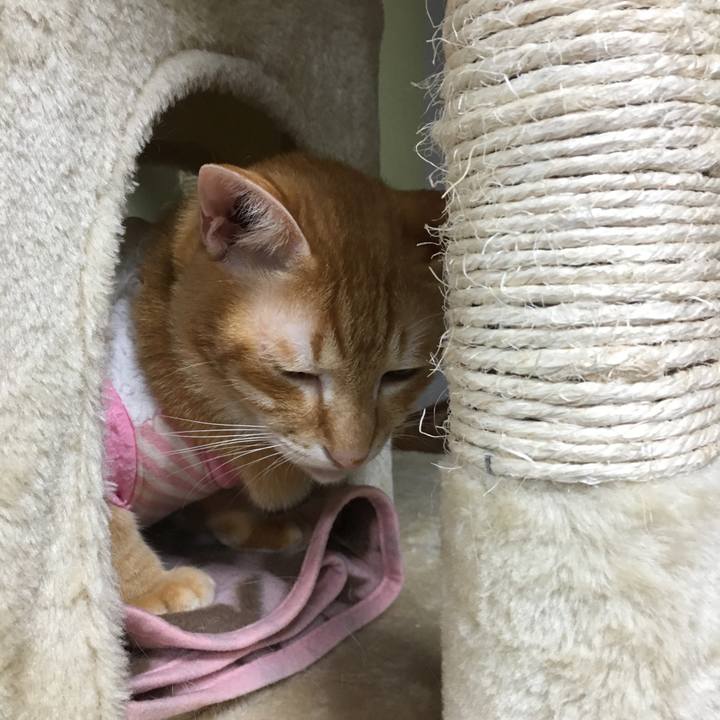 Bc4d84da e900 4a49 8b05 195c21651fff