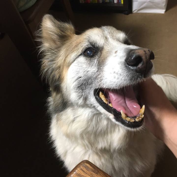 Bc4dd0e9 ec13 44f0 80ce 357f3ff16742