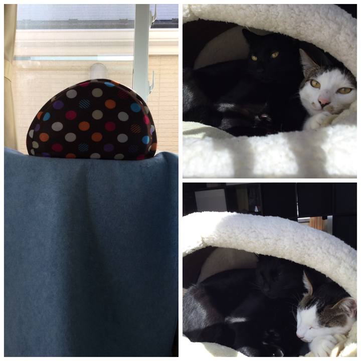 Bc4de387 c716 4bc4 84a9 5abec3d839be