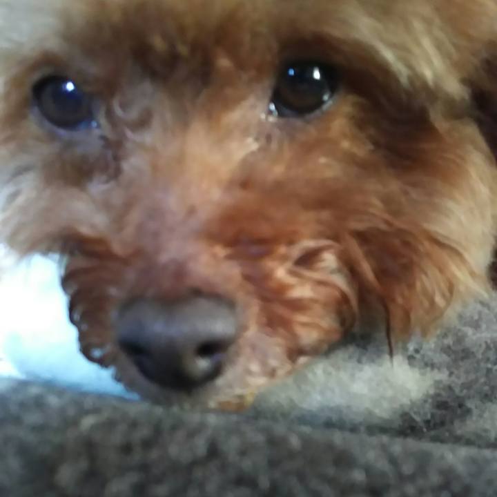 Bc4df6e9 1e64 4062 bdaf 4eaff13e9545