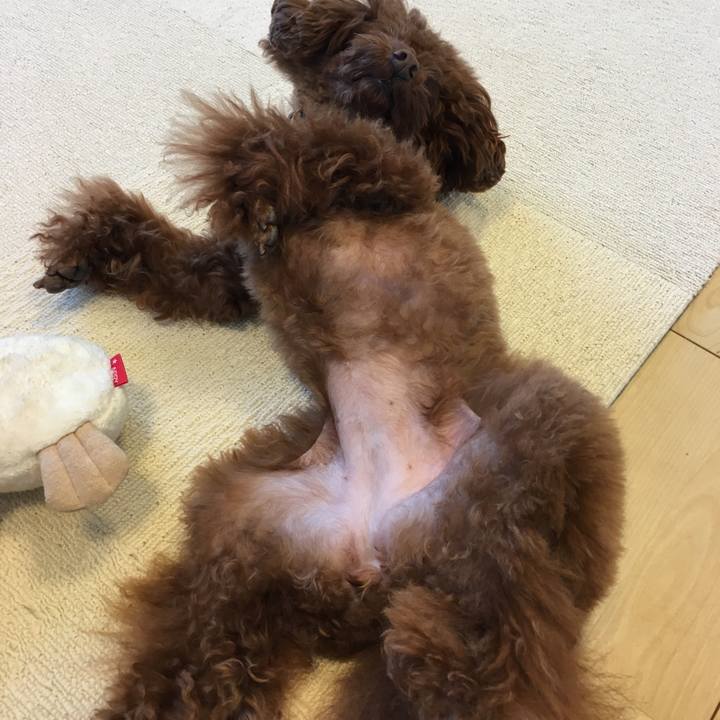 Bc4f0c55 4b8f 4039 9aff 585edfe2aa6c