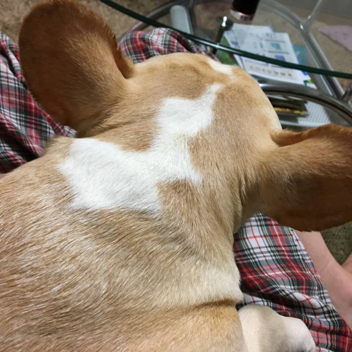 Bc4f9aba 07dd 4b16 b569 595585ab3783