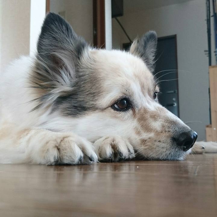 Bc4fa9db 1873 4ba4 89be 5c117df61e4b