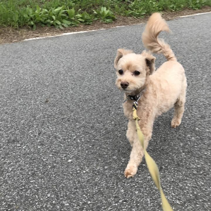 Bc5013b1 1a66 430b 8327 9eb04a1ca8d7