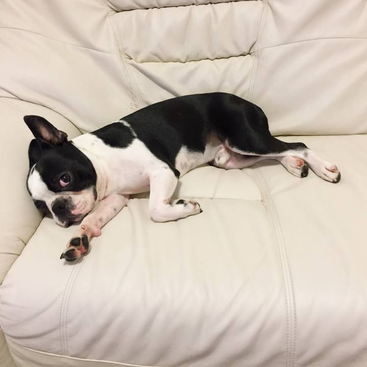 Bc50b34e d8ef 4451 976c 8f28a3ccd862