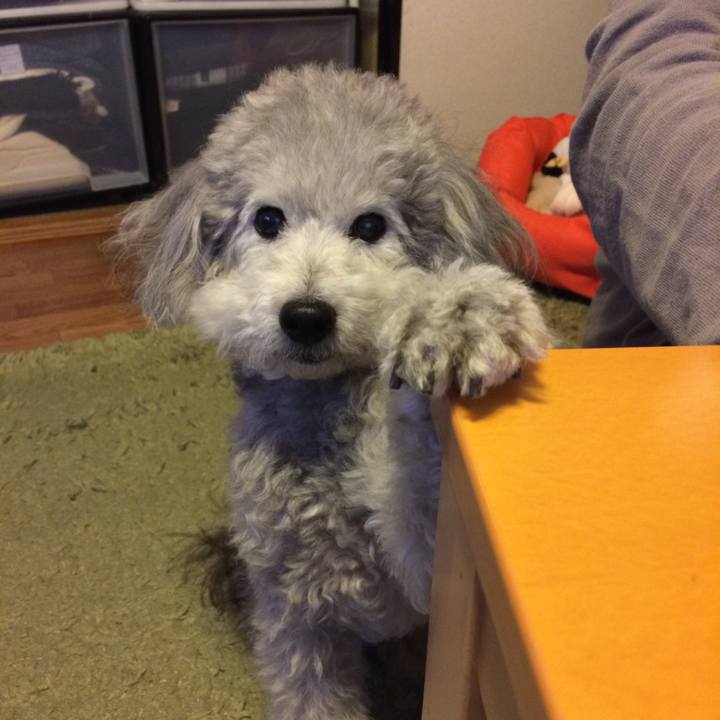 Bc5149f0 1275 49e6 9090 e3fe35f21199